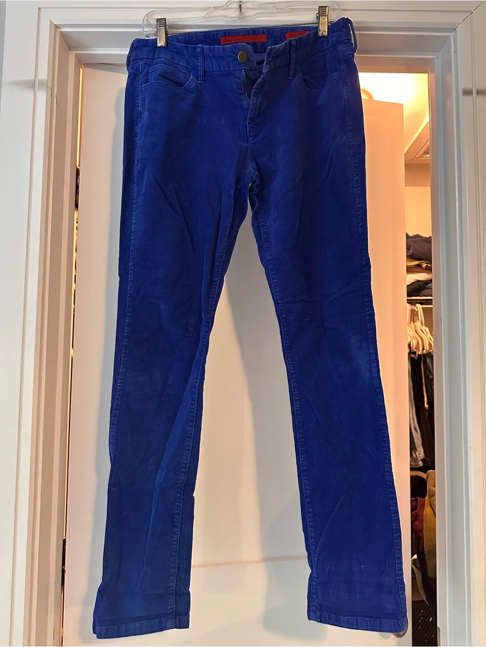 Banana Republic Straight Leg Corduroy Pants in Royal Blue